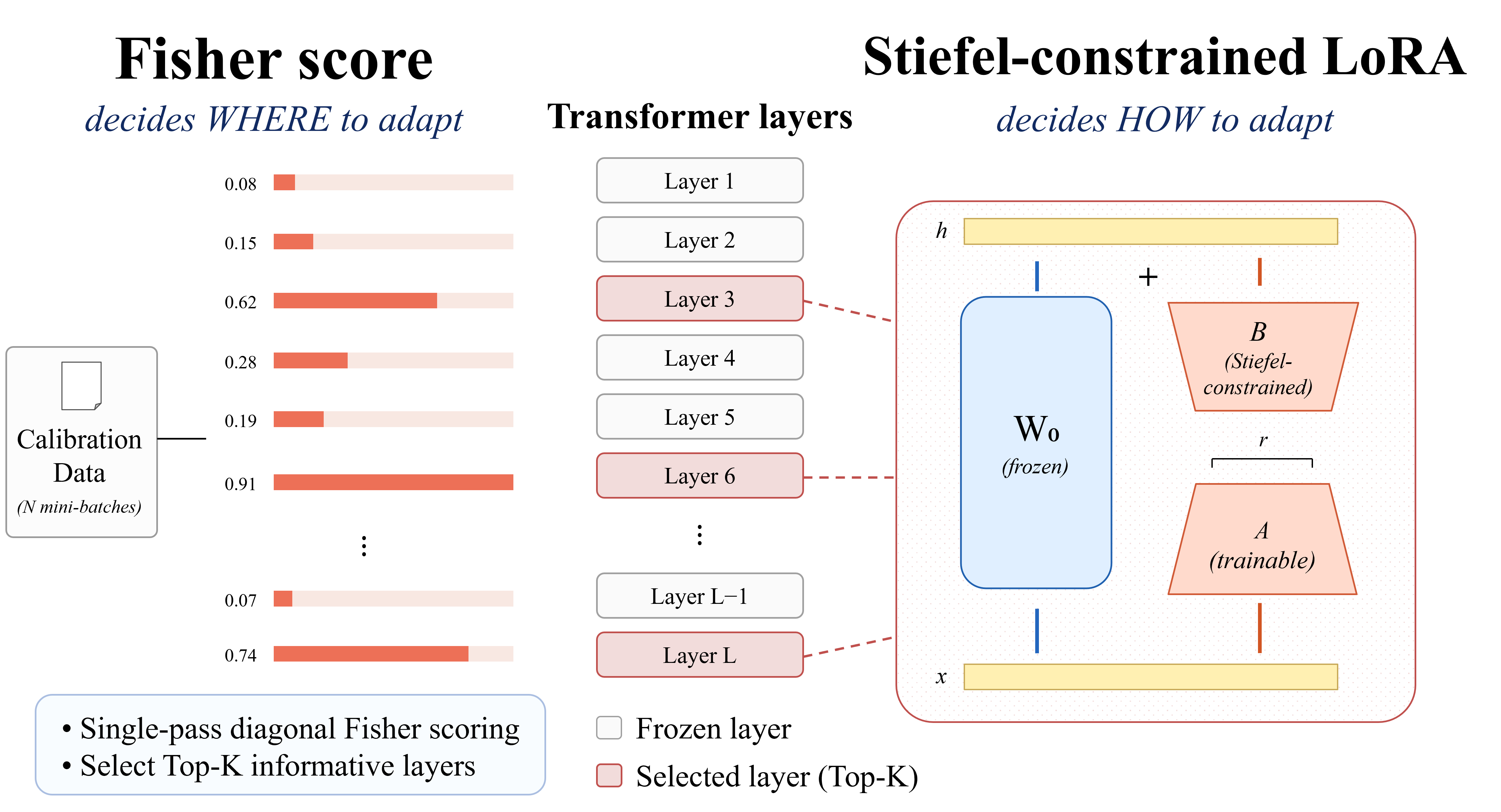 FORA overview diagram